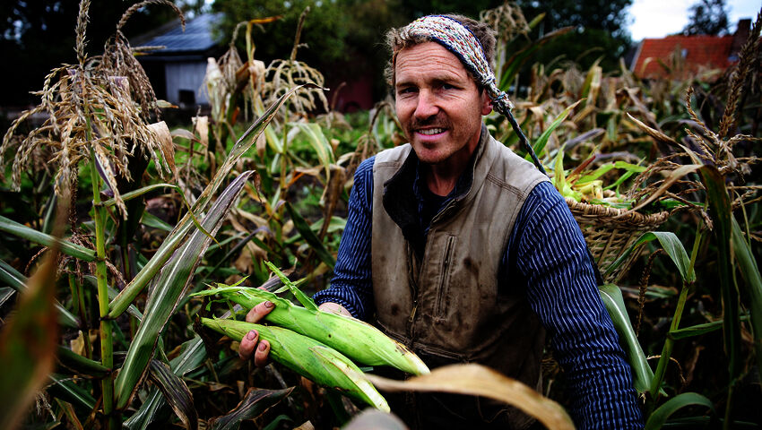 Tanskalainen maajussi