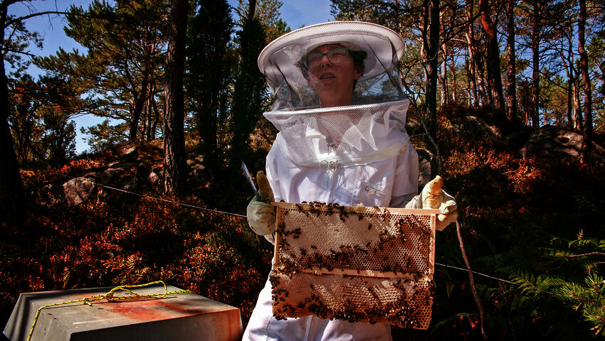 Tiettömän taipaleen takana