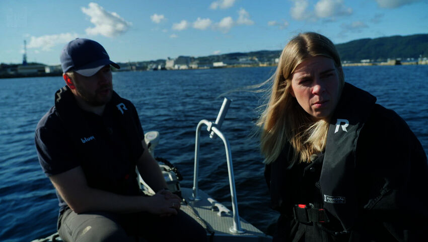 Missä on Odin? (12)