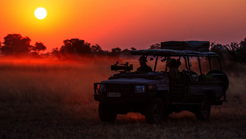 Kissapetojen matkassa