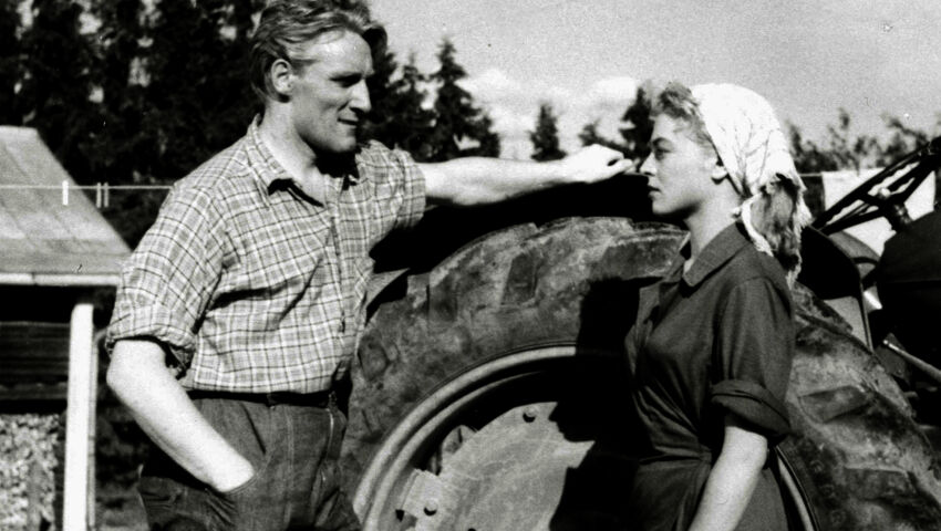 Kukonlaulusta kukonlauluun 