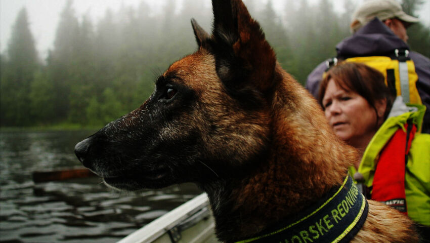Pelastuskoirat