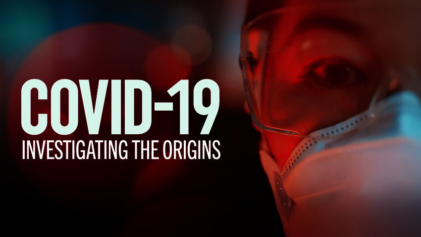 Mistä koronavirus ilmestyi?