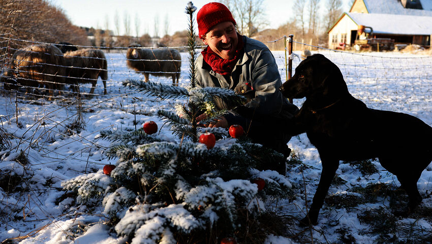 Tanskalainen maajussi