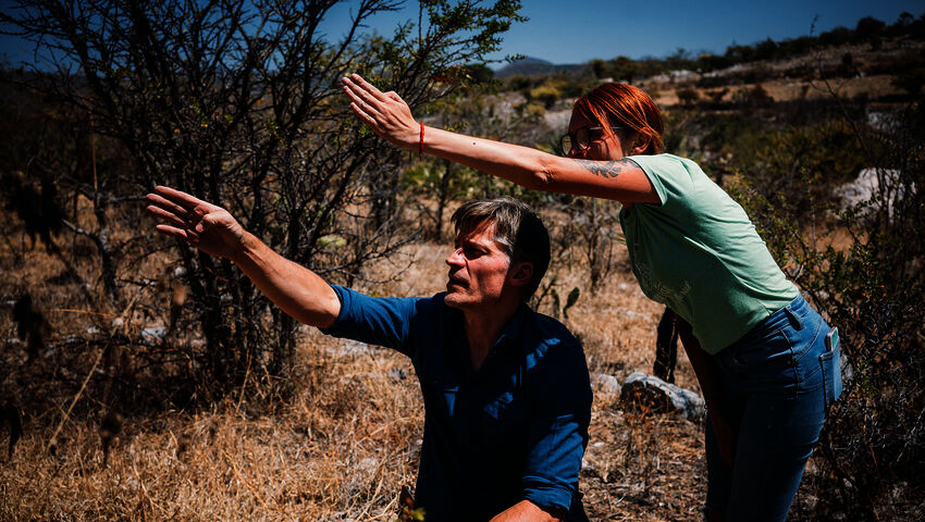 Optimistin opas planeetalle