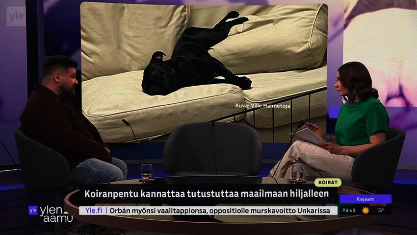 Miten valmistautua koiranpennun tuloon?