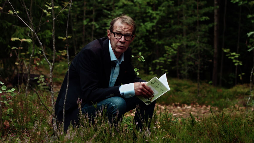 Suomi on metsäläinen