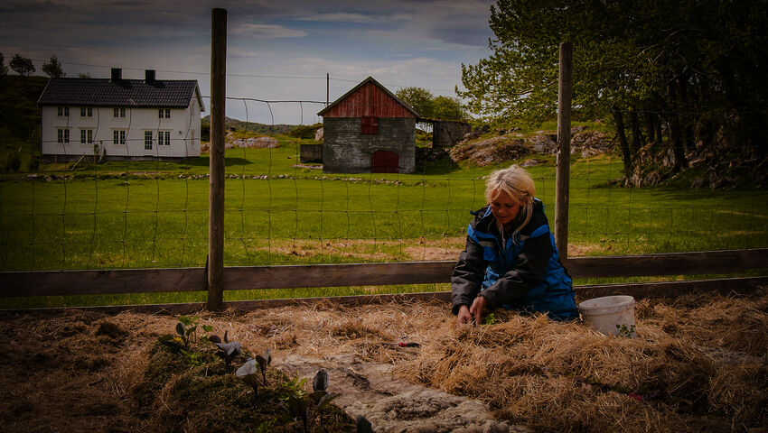 Tiettömän taipaleen takana
