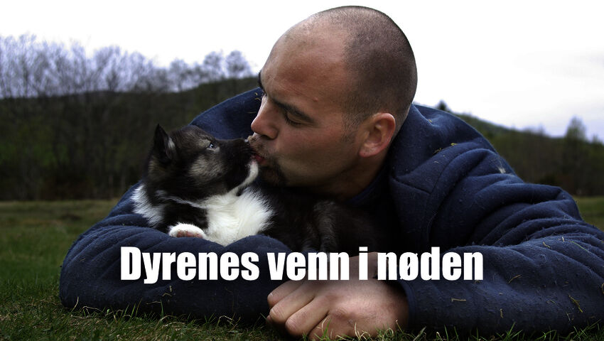 Hädänalaisten eläinten ystävä