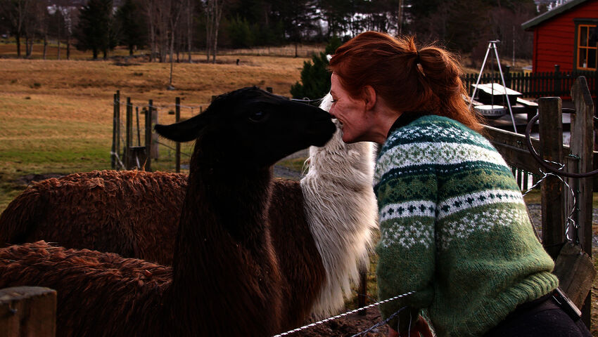 Tiettömän taipaleen takana