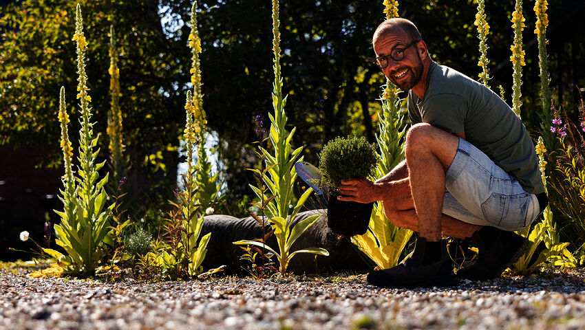 Søren Vesterin puutarha