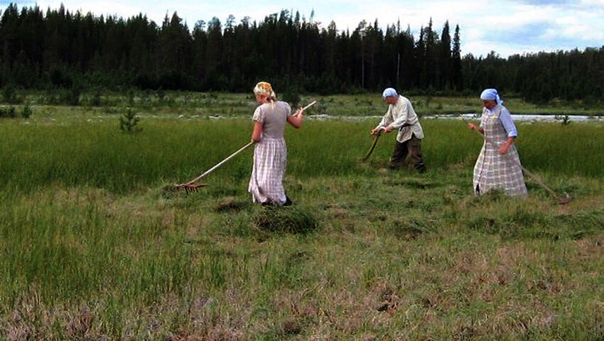 Muisti: Pohjoisen partisaanit