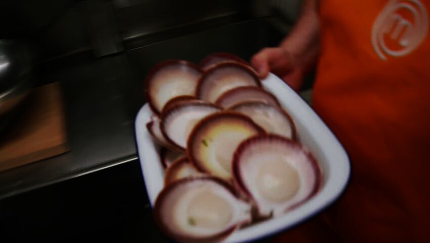MasterChef Australia