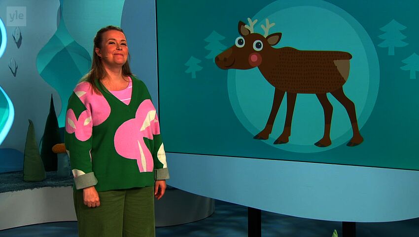 Pikku Kakkonen