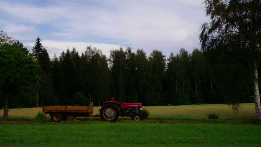 Farmi Suomi
