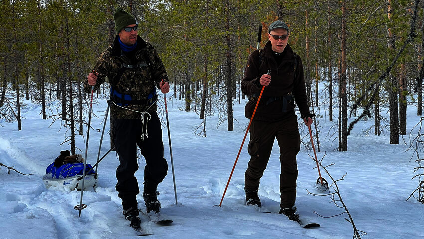 Peltsin toinen luonto 