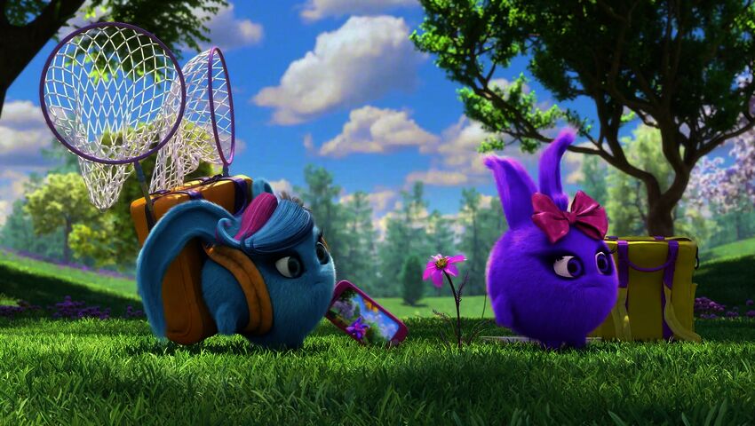 Sunny Bunnies (S)