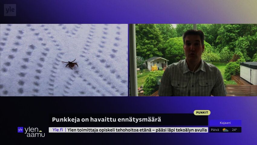 Onko nyt luvassa kaikkien aikojen punkkikesä?