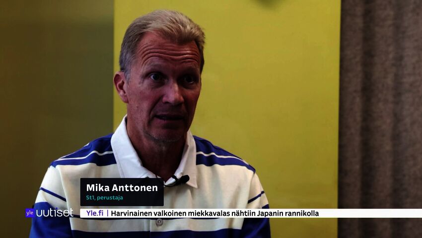 Yle Uutiset 20.30