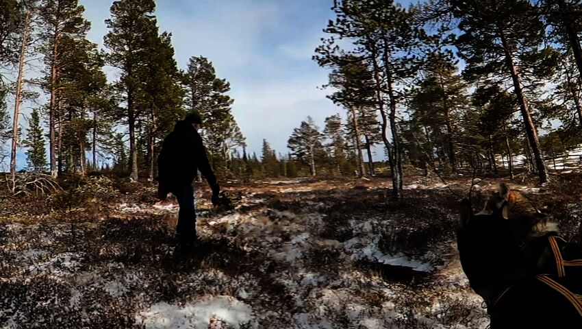 Tiettömän taipaleen takana