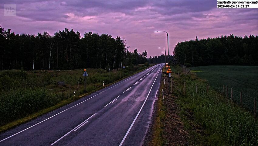 Moose crossing road