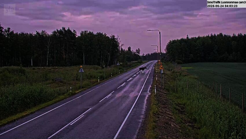 Pedestrian crossing for elk in Finland