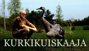 Kurkikuiskaaja