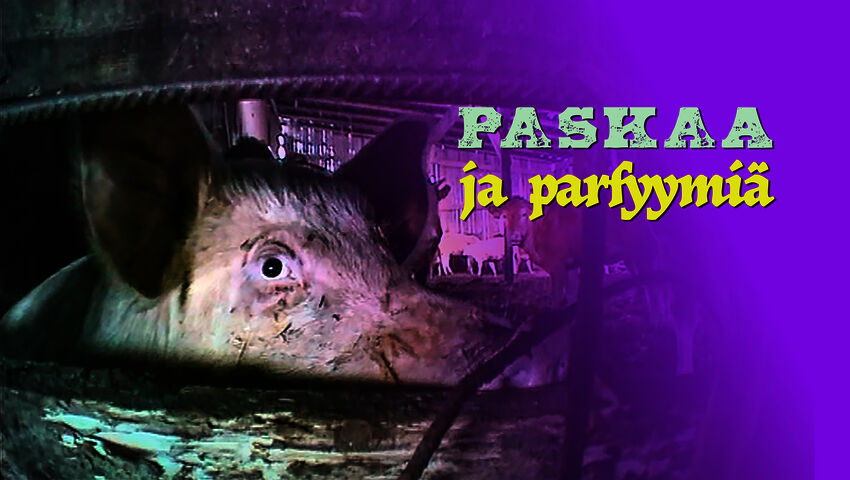 Paskaa ja parfyymia