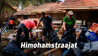 Himohamstraajat