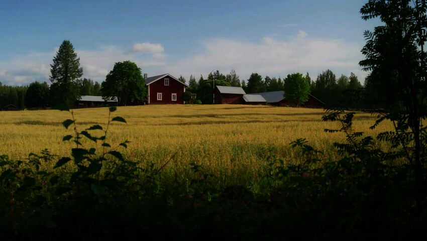 Farmi Suomi