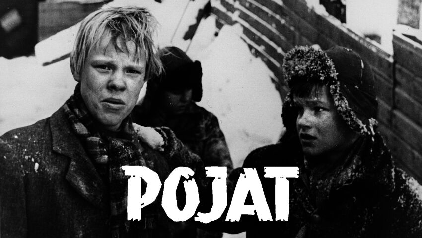 Pojat 