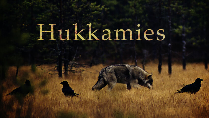 Hukkamies