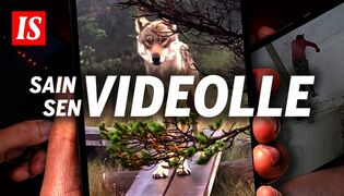 IS esittää: Sain sen videolle (S)