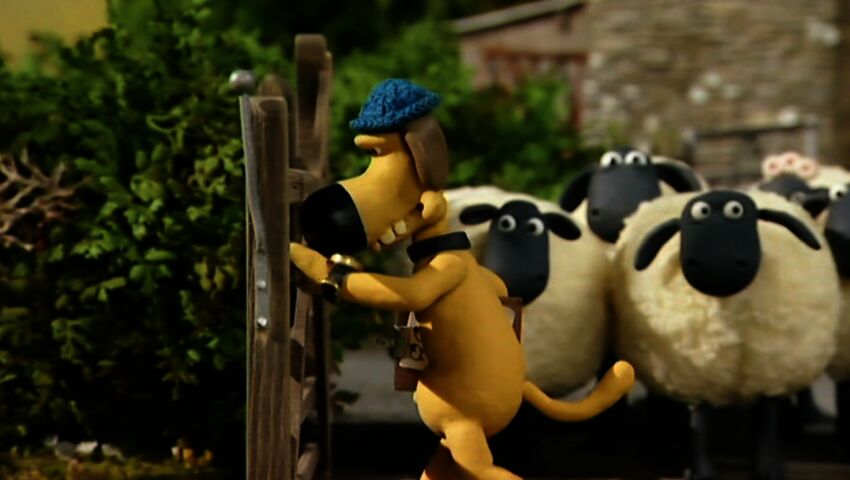 Late Lammas (S)