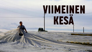Viimeinen kesä
