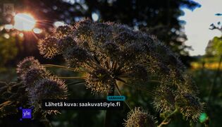 Sää ja luonto