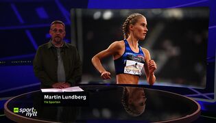 Sportnytt