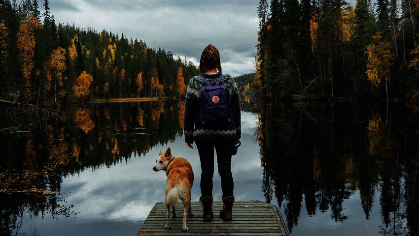 Metsien kätkemä