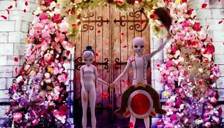 Miraculous: Ladybugin ja Cat Noirin seikkailut (7)