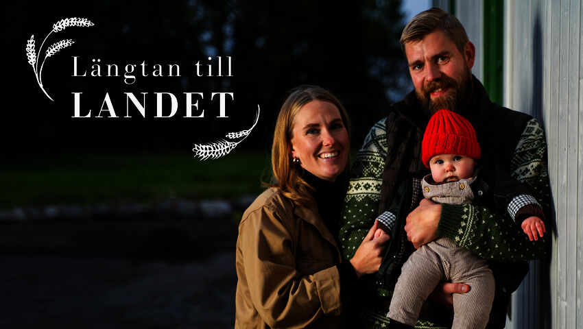 Traileri: Kaipuu maalle