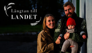 Traileri: Kaipuu maalle