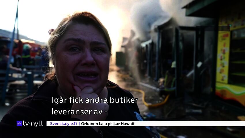 Yle Nyheter TV-nytt 17.55