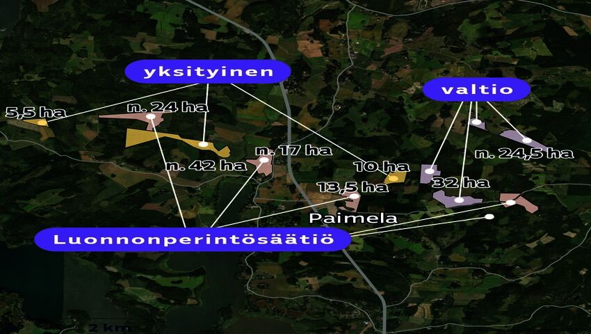 Hollolan luonnonsuojelualueiden saaristo on Etelä-Suomen suurimpia – siitä kasvaa ekologisten käytävien verkosto