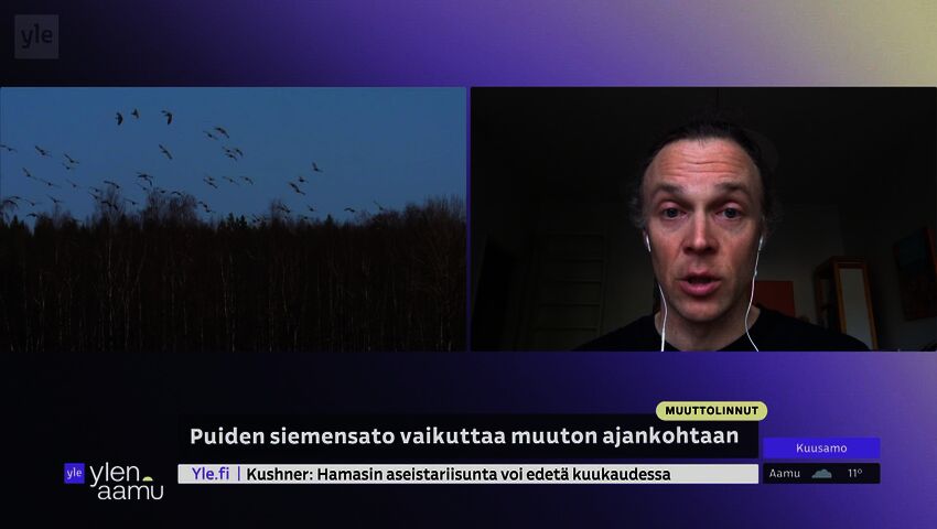 Lintujen syysmuuton kaukomatkalaiset lähdössä 