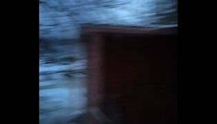 Puro ja mökki jäässä