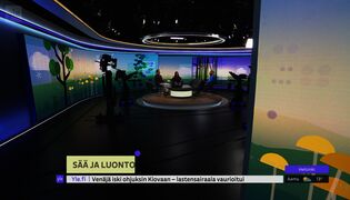 Sää ja luonto: hämähäkkejä, karhujahteja ja tuulisia päiviä