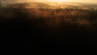 Ihmeellinen luontoihminen (Yle 100 Show)