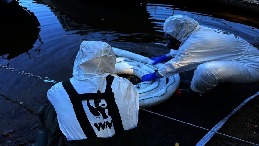 WWF Suomen öljyntorjuntajoukot ovat aloittaneet tänään puhdistustyöt Rantasalmen Haukivedellä