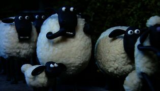 Late Lammas (S)