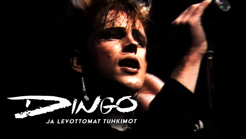 Dingo ja levottomat tuhkimot